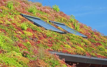 Pleasington living roof systems